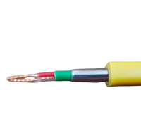 Câble plat ASTM 316 625 pour sonde de forage, câble encapsulé pour outils pétroliers