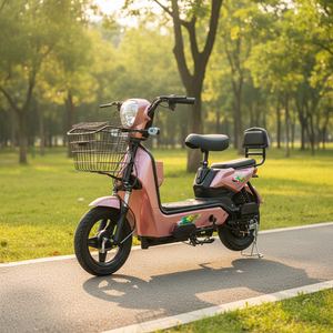 Bicicleta Eléctrica Personalizada de Dos Ruedas, Doble Modo, Ultra Larga Duración, para Adultos, Modelo CB061, 350W, 48V - Product Image 5