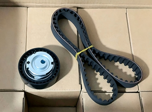 Courroie et poulie WGD - Service tout-en-un pour OEM 130C17480R pour Seat - Product Image 2