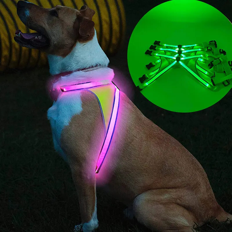 Coleira para cachorro personalizada 2022, coleira de peitoral para cães com luz led