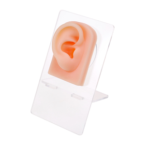 แบบจำลองหูซิลิโคน 3 มิติ สำหรับฝึกสักและเจาะหู - Product Image 2