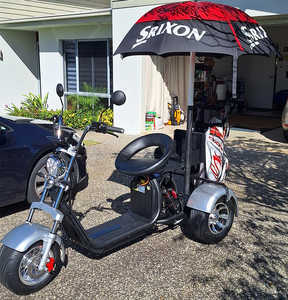 2026 Tricycle Électrique de Golf 3 Roues 2000W 3000W 60V pour un Plaisir Absolu, Scooter de Golf, Trottinette, Vélo Électrique, Citycoco - Product Image 5
