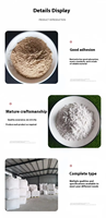 Poudre de bentonite de sodium naturelle à haute expansion pour litière pour chat et applications dans la boue de forage