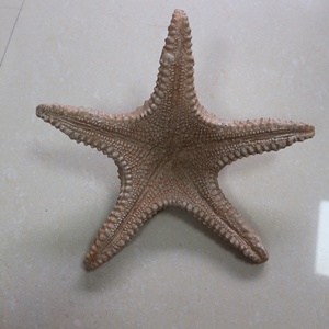 Hars Oceaan Zee Ster Boetiek <span class=keywords><strong>Aquarium</strong></span> Handgemaakt Handwerk Maritieme Artikelen Huisdecoratie Stukken - Product Image 4