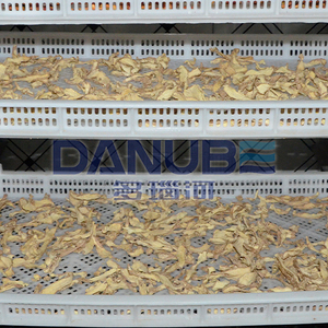 Traitement des tomates, figues, abricots et dattes à l'aide d'un déshydrateur et d'un séchoir à fruits/légumes : machine de lavage et de séchage - Product Image 3