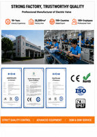 Válvula de Bola Motorizada YAOYANG DC12V/24V DN20 PN16 de Latón de 2 Vías, Bajo Voltaje, Alta Temperatura, IP65 Impermeable, con Certificación CE