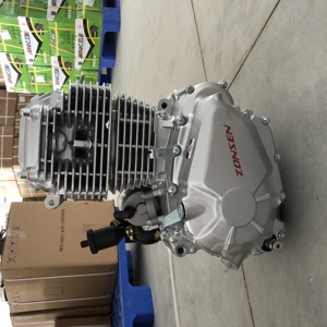 250cczongshen 2 <b>Engine</b> With Balance Shaft Zs172fmm-5 72mm for Dirt Bike <b>Motorcycle</b> <b>Assembly</b> <b>Engine</b> 250cczongshen - Product Image 4