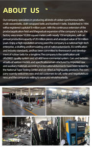 Courroie de distribution en PU avec cordons en acier, en caoutchouc EPDM pur/CR, courroie de transmission, courroie de ventilateur – <span class=keywords><strong>Prix</strong></span> de gros le plus bas - Product Image 6