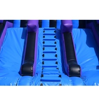 La piscine gonflable de glissière d'eau de Tiktok Offre Spéciale glisse les glissières gonflables commerciales de jeu plein d'entrain pour des enfants