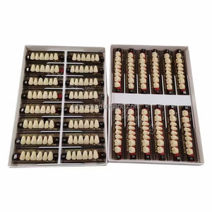 Denti dentali del polimero della resina acrilica dentiera anteriore e posteriore - Product Image 6