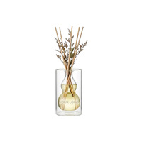 Diffuseur d'huiles essentielles en verre à double paroi au design élégant, réutilisable, sans fumée, longue durée, décoration d'intérieur