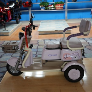 Tricycle d'extérieur à 3 roues, deux places, tricycle pour adultes avec passager - Product Image 4