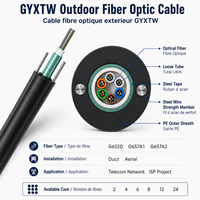 Câble à fibres optiques extérieur GYXTW 24 cœurs, blindé avec bande d'acier, tube lâche