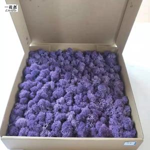 มอสส์ธรรมชาติสำหรับตกแต่ง,แผ่นมอสส์รักษาความเสถียรของดอกไม้สำหรับตกแต่งโรงงานผลิต - Product Image 2