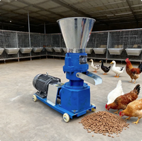 Machine à granulés d'aliments pour animaux domestiques, petite machine à granulés pour poissons, poulets, porcs, volailles