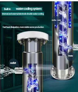 20g 30g 50g 100g 200g 300g 500gwater ठंडा क्वार्ट्ज ग्लास ट्यूब ओजोन जनरेटर पानी के उपचार के लिए क्वार्ट्ज ट्यूब ओजोन मशीन