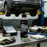 Nettoyant et protecteur de catalyseur à 3 voies pour moteur de fabricant, additif de carburant pour véhicules à essence