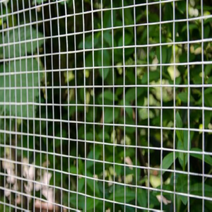 Bền và mạnh mẽ <span class=keywords><strong>10x10</strong></span> mạ kẽm hàn được sử dụng cho gà Coop tấm lưới thép mạ kẽm - Product Image 5