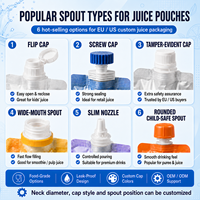 Pochette à jus imprimée sur mesure avec bec verseur, sachet d'emballage pour boissons liquides, vente en gros d'usine