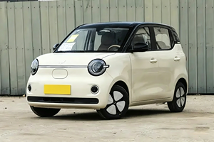 Oferta Especial: Hongguang MINIEV de Alta Gama, Volante a la Izquierda, Económico, Alta Calidad, 5 Puertas, 205 km de Autonomía, Mini Auto - Product Image 2