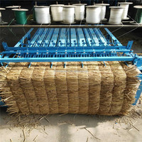 Machine à tresser les pailles de bulrush, machine à coudre les balais en paille, machine à tricoter les tapis en paille de roseau