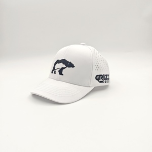 Gorra de Béisbol Deportiva de Alta Gama, 6 Paneles, Color Sólido, Ajustable, con Logotipo Personalizado, para Club de Golf, Bordada - Product Image 5