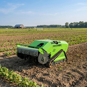 Tosaerba Cingolato <span class=keywords><strong>a</strong></span> Motore 13HP 4 Tempi Benzina/Diesel con Protezione <span class=keywords><strong>Catena</strong></span> in Metallo per Pendenze Ripide, Frutteti e Fattorie - Vendita Calda - Product Image 4