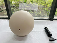 Ballon de Yoga Mini 20 cm en PVC pour Pilates et Entraînement de l'Équilibre Central, Emballage Personnalisé, Vente en Gros, Fabricant en Vrac
