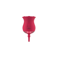 Starkes Saugen des internen sprudelnden 7-Frequenz-Vibrators Adult Toy Clit Sucker Nippel brust G-Punkt-Vibrator für Frauen