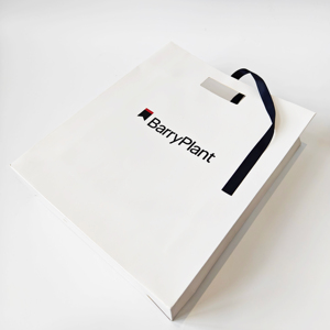 Bolsas de Papel Premium Personalizadas, Bolsas de Regalo de Joyería de Lujo con Asa y Cinta, Logotipo Privado Impreso, Hechas de Cartón - Product Image 4