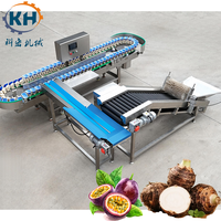 Hoge capaciteit gewichtssorteermachine 160-280 tot 280 stuks per minuut voor grote fruitverwerkingsfabriek