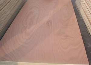 <span class=keywords><strong>Precio</strong></span> al por Mayor <span class=keywords><strong>de</strong></span> Lámina <span class=keywords><strong>de</strong></span> Madera Contrachapada <span class=keywords><strong>de</strong></span> <span class=keywords><strong>Cedro</strong></span> Rojo Comercial <span class=keywords><strong>de</strong></span> 4x8 18mm 1200x2400mm - Product Image 2
