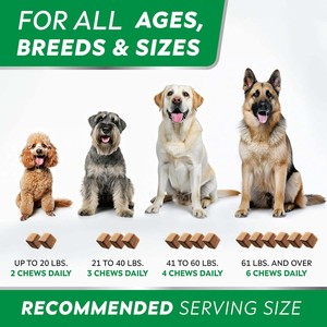 Anjing pereda Alergi Anti gatal lunak kunyah dengan Omega <span class=keywords><strong>3</strong></span> minyak ikan enzim kulit labu & mantel anjing suplemen perawatan kesehatan hewan peliharaan imun - Product Image 5