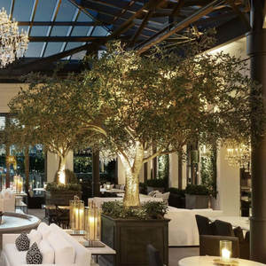 Albero di Ulivo Artificiale Personalizzato Resistente ai Raggi UV per Decorazione di Ristoranti e Caffè - Product Image 4