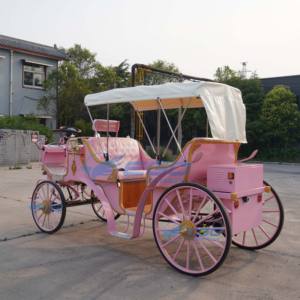 รถเที่ยวชมสถานที่สีชมพูสำหรับรถอเนกประสงค์แถวคู่รถคลาสสิกไฟฟ้า2025ย้อนยุค - Product Image 5