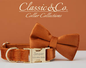 Ensemble collier et laisse pour chien personnalisé Caramel Veet, boucle en métal gravée sur mesure, cadeau d'anniversaire pour chiot, livraison gratuite - Product Image 3