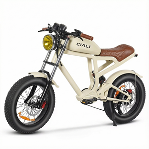 אופניים חשמליים רטרו בסגנון סטימפאנק של Xili Sports, 48 וולט, 750 וואט, 19.2 אמפר/שעה - Product Image 1