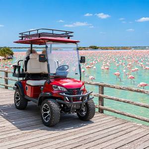 Carrito de Golf Silencioso de 4 Plazas, Cero Emisiones, Motor con Enfriamiento Natural, Bajo Costo de Funcionamiento, para Comunidades de Retiros, Opción de Color Personalizado - Product Image 1