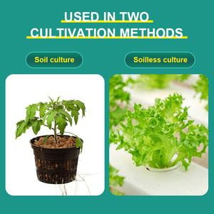 Filet de plantation de légumes sans sol Navire hydroponique avec <span class=keywords><strong>fixateur</strong></span> en plastique de contrôle des racines <span class=keywords><strong>pour</strong></span> la maison et le jardin Carton emballé - Product Image 4