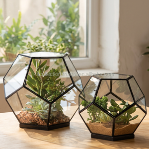 Large Glass Globe <b>Terrarium</b> <b>Kit</b>, Home and Living, Beach <b>Terrarium</b> wholesale geometric Desktop Sphere - Product Image 2