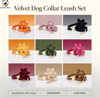 Ensemble collier et laisse pour chien en velours doux avec ornement floral assorti, kit de collier et laisse réglables pour la promenade quotidienne des animaux de compagnie