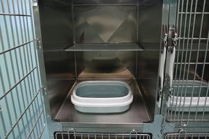 <span class=keywords><strong>Jaula</strong></span> transportadora doble de acero inoxidable clásica para interiores/exteriores para gatos y perros y uso veterinario - Product Image 5