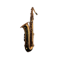 SEASOUND OEM Professional JYTS113CF Coffee Tenor Saxophone Woodwind Instrument BB Tone Foldable Adjustable High-grade Waterproof