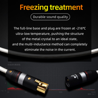Câble audio haute fidélité HIFI 2XLR mâle vers femelle en cuivre et argent pour enceintes et moniteurs