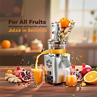 Motor Juicer Komersial 500W/750W/1200W untuk Buah Lunak Wortel, Ekstraktor Jus Peras Dingin Lambat dengan Sertifikasi CE/FCC/UL