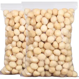 Premium Grade Macadamia Nüsse Rohe gesalzene geröstete Nüsse Gesundes Essen Macadamia ohne Schale