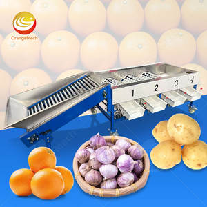 Machine de tri et de calibrage automatique ORME pour myrtilles, dattes, oignons, agrumes, mangues, pommes de terre - Product Image 1