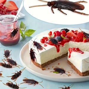 Un paquete de 20 cucarachas realistas, perfectas para el Día DE LOS Inocentes y Halloween, estas cucarachas realistas - Product Image 6