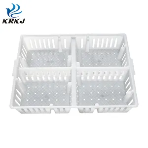 Cage à poulet en plastique de conception séparée KD651 pour poulet vivant