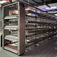 Cage à poulets en fil d'acier de type H cages à poulets de type H 5000